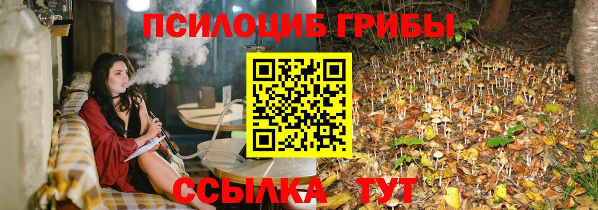 Галлюциногенные грибы MAGIC MUSHROOMS  Вход с VPN  Михайловск  Псилоцибиновые грибы GOLDEN TEACHER 